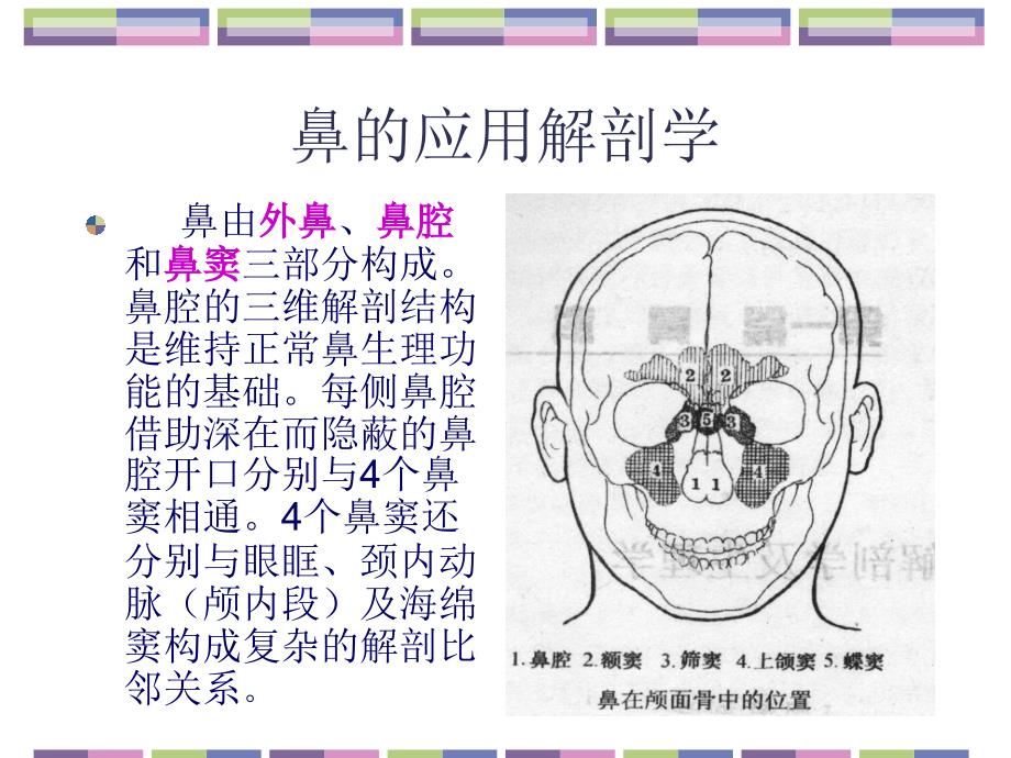 耳鼻咽喉头颈外科学02鼻的应用解剖学和生理学_第2页