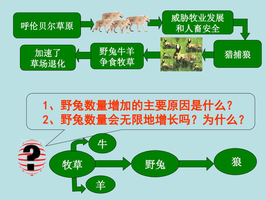 新人教版八年级上册《动物在生物圈中的作用》课件_第4页