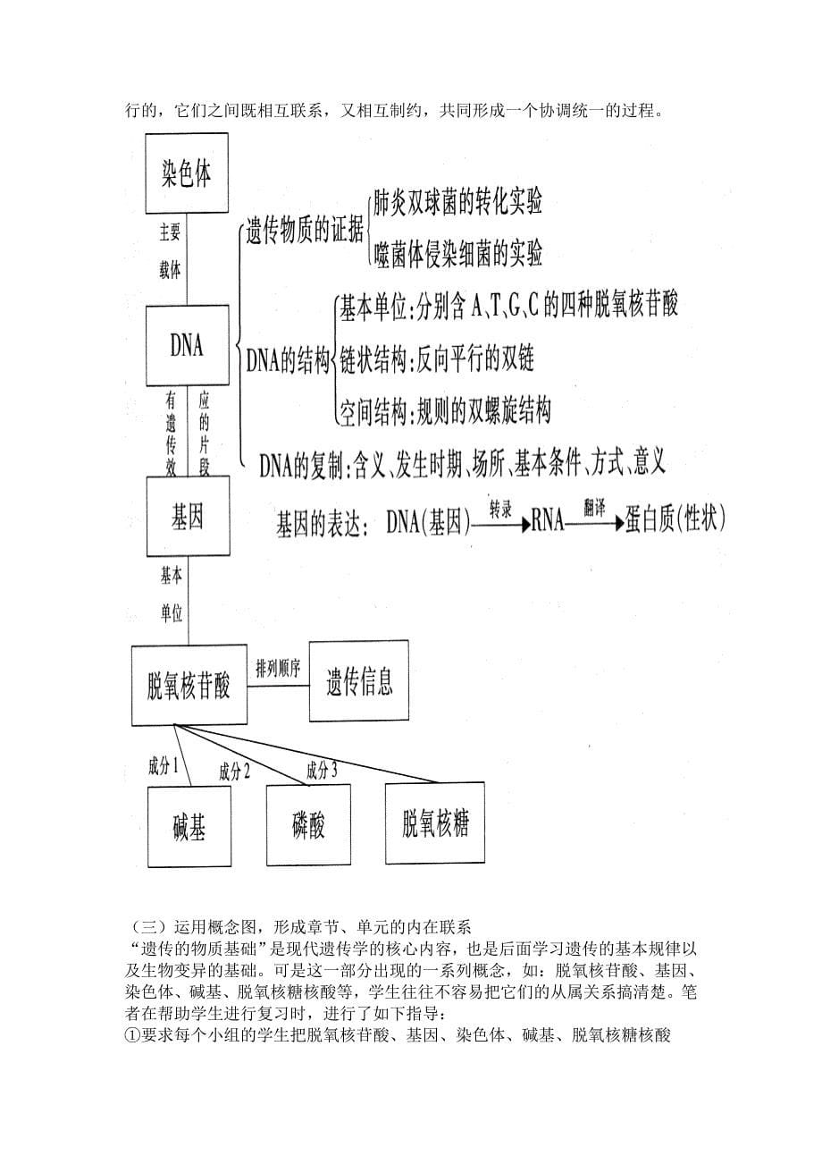 概念图在高中生物复习课教学中的运用_第5页