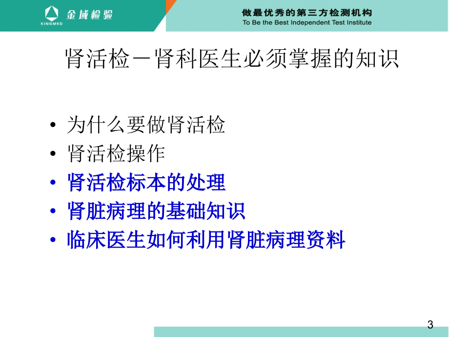 肾科医师需要了解的肾脏病理知识_第3页