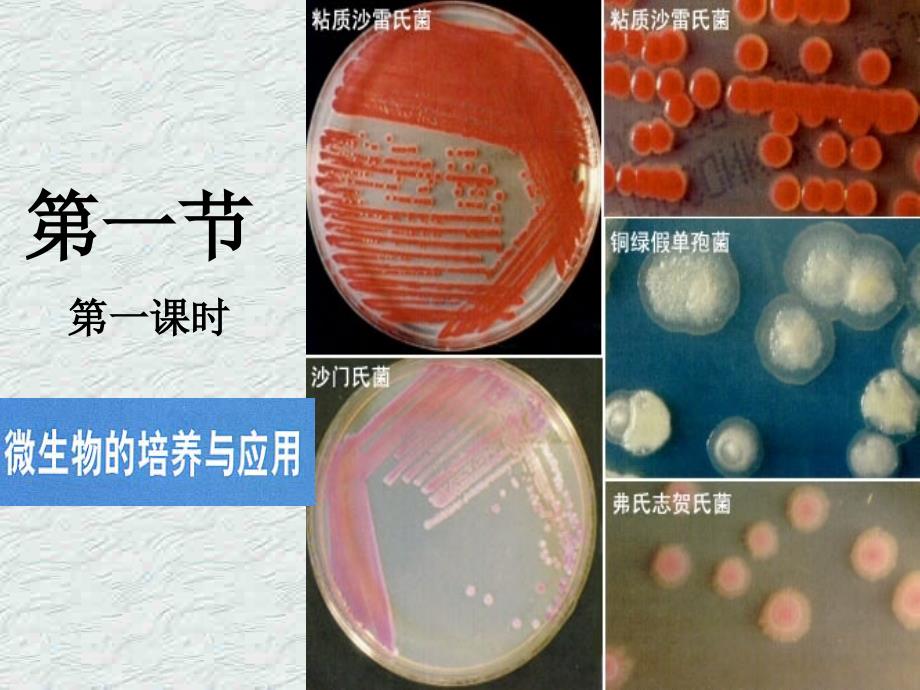 微生物的培养基一课件_第1页