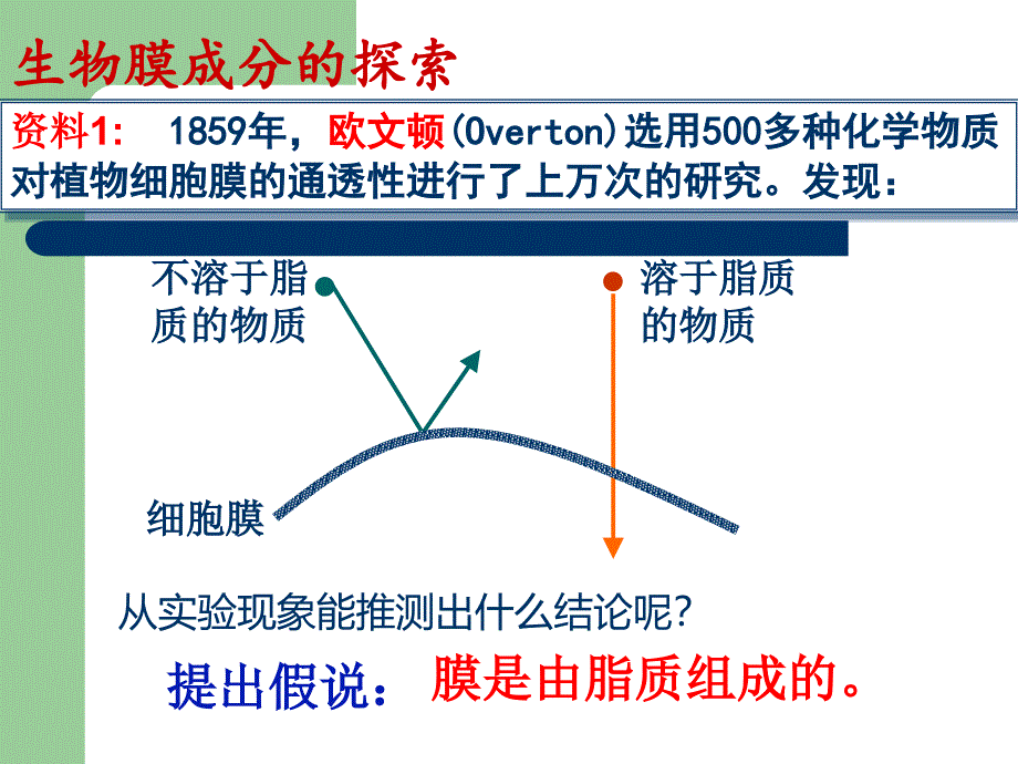 生物膜的流动镶嵌模型课件_第3页