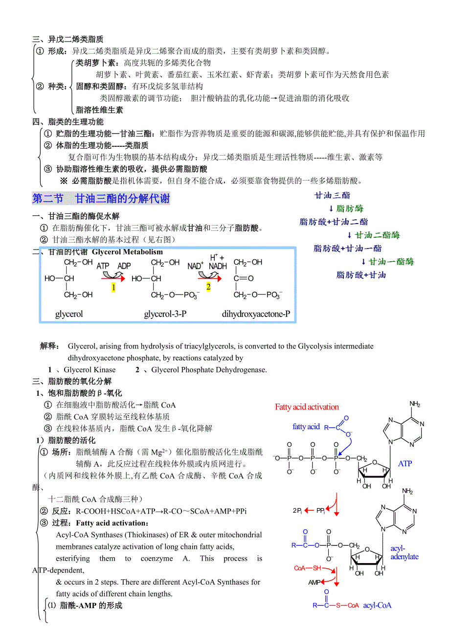 江南大学801生物化学课件总结7----脂类及其代谢_第2页