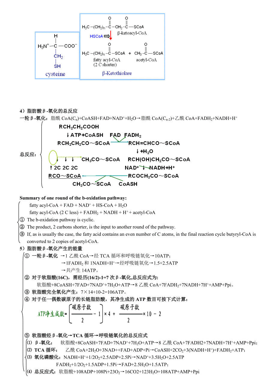 江南大学801生物化学课件总结7----脂类及其代谢_第4页