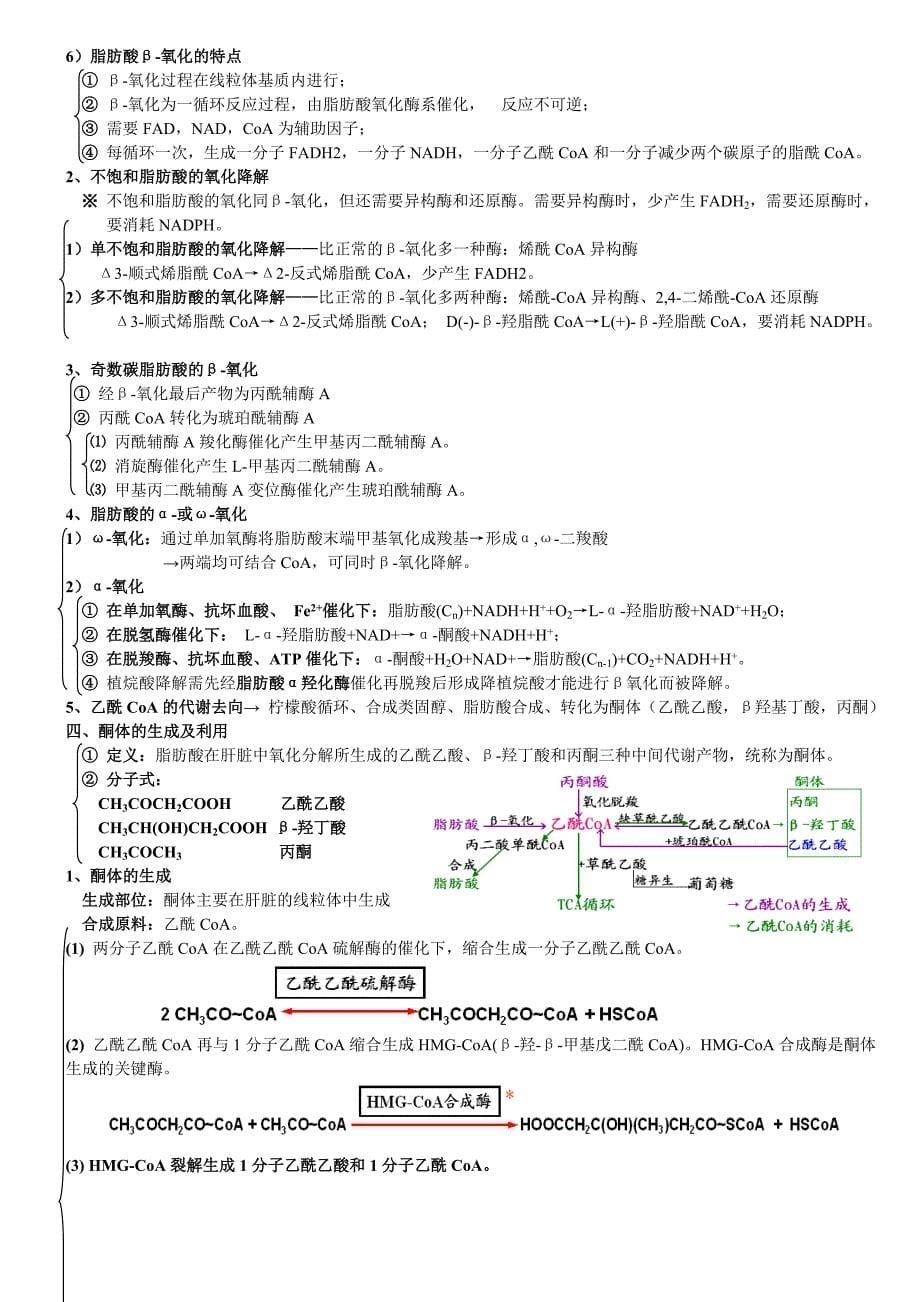 江南大学801生物化学课件总结7----脂类及其代谢_第5页