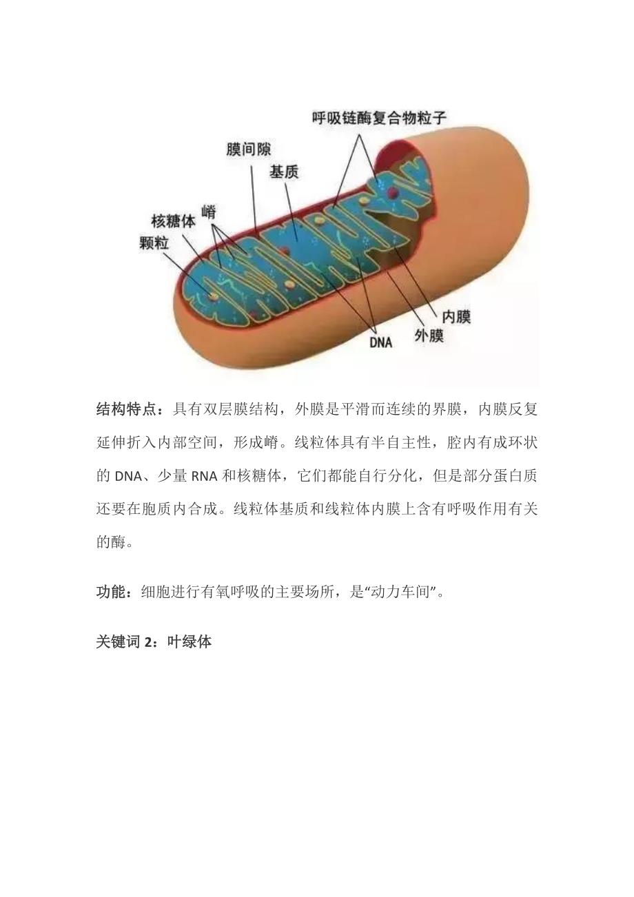 高中生物：细胞重点知识点汇总,图文解释_第3页