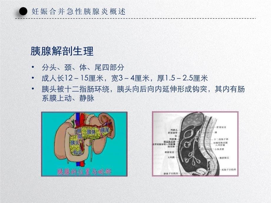 妊娠合并胰腺炎诊疗_第5页