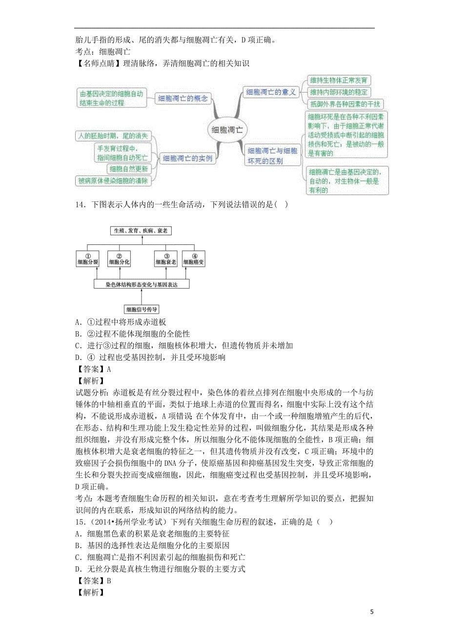 （全国通用）2018届高考生物二轮复习 细胞的分化、衰老、凋亡和癌变专题卷4_第5页