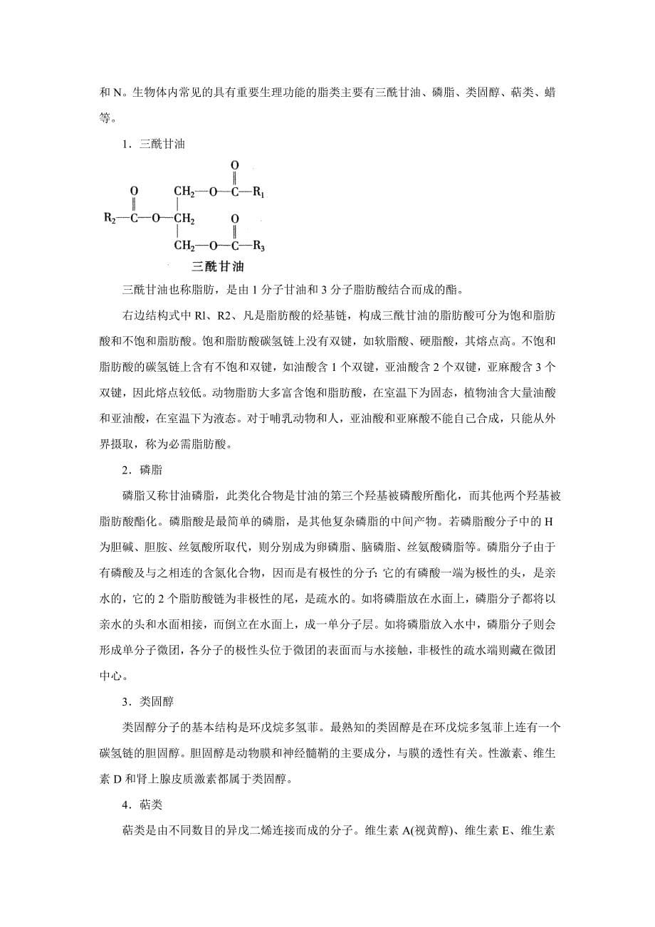 高中生物竞赛辅导：第一章  细胞生物学_第5页