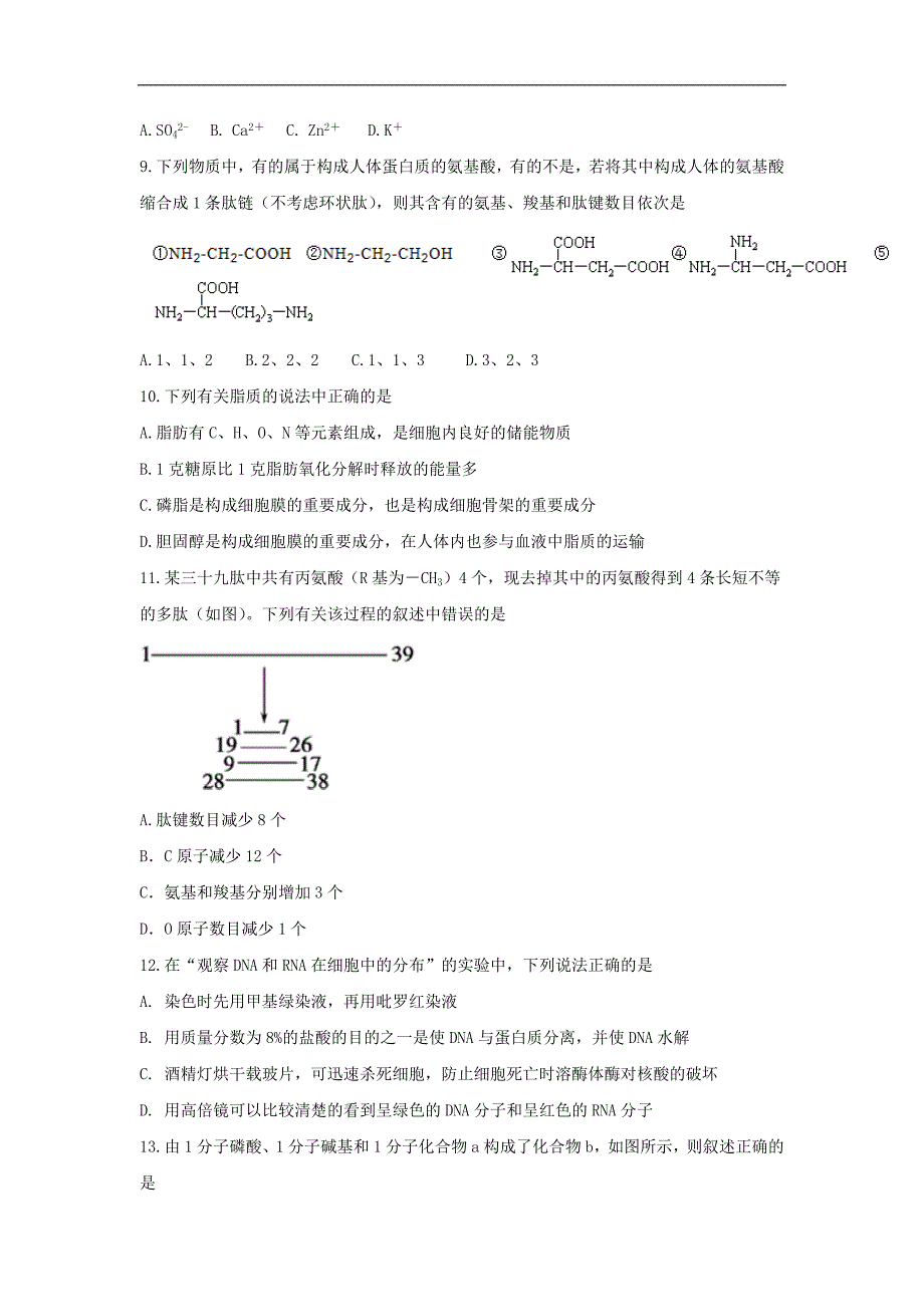 湖北省襄阳市2016-2017学年高一上学期期末考试生物试题 word版含答案_第3页