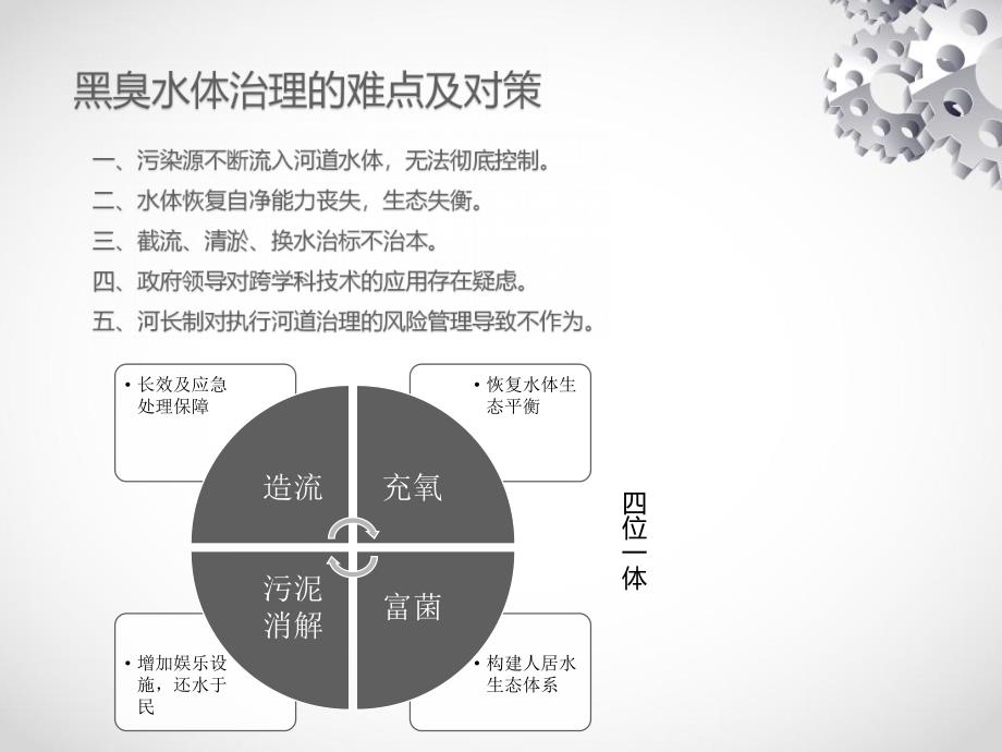 黑臭水体治理新技术-四位一体增效技术_第4页