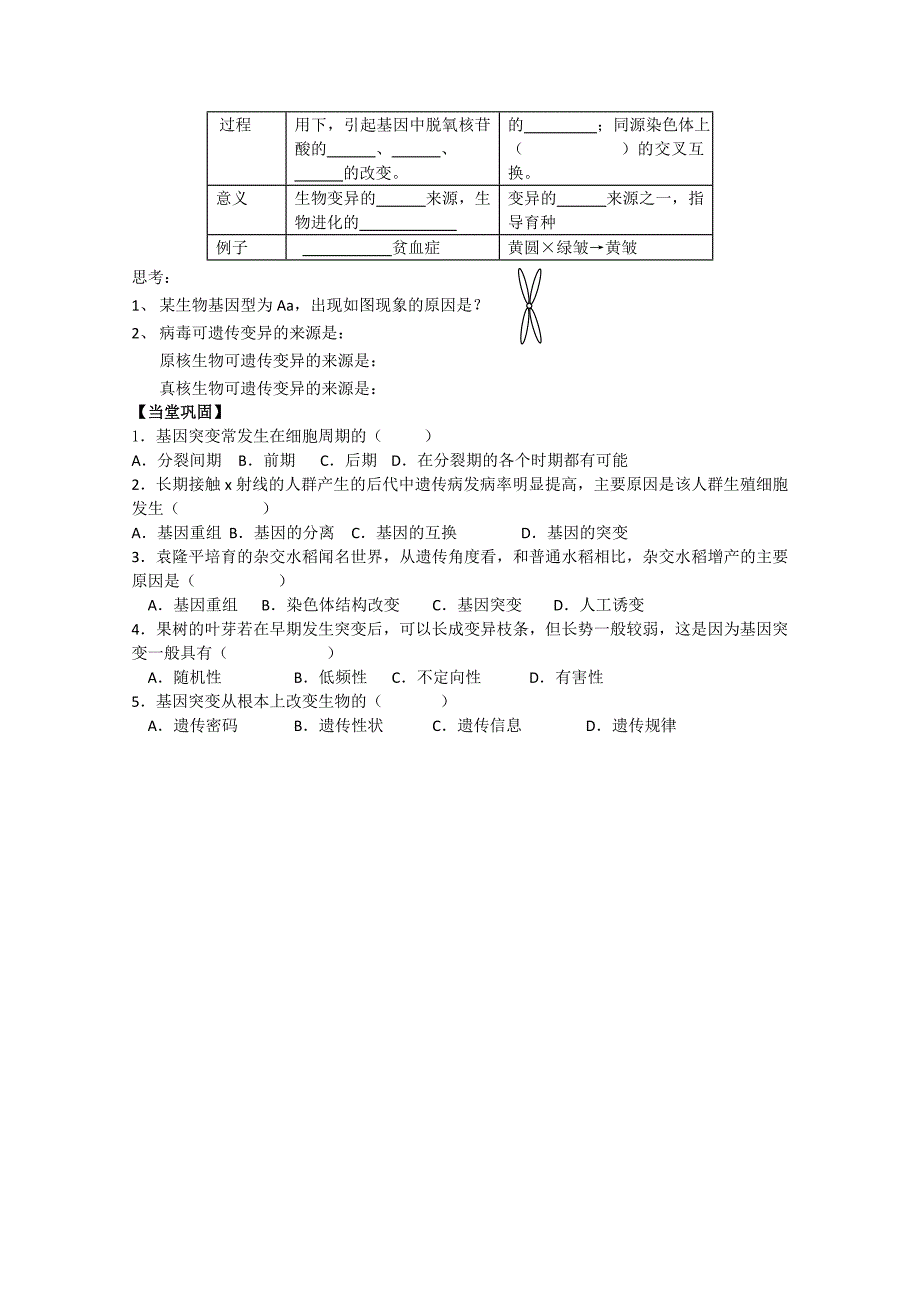 生物：8.3《变异》学案（1）（沪科版第三册）_第3页