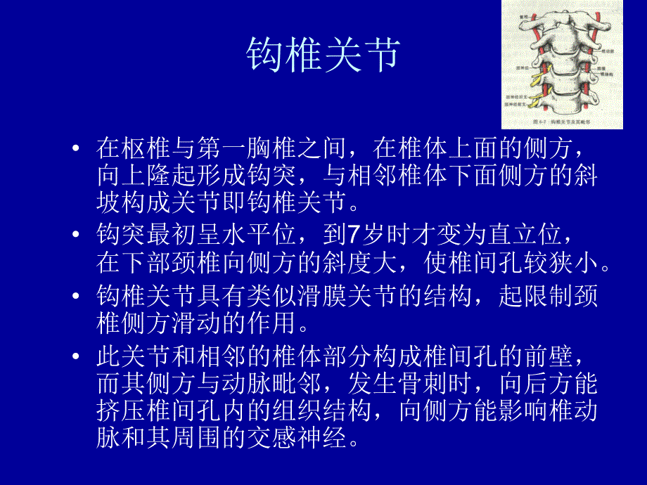 颈椎病解剖及分型治疗_第4页