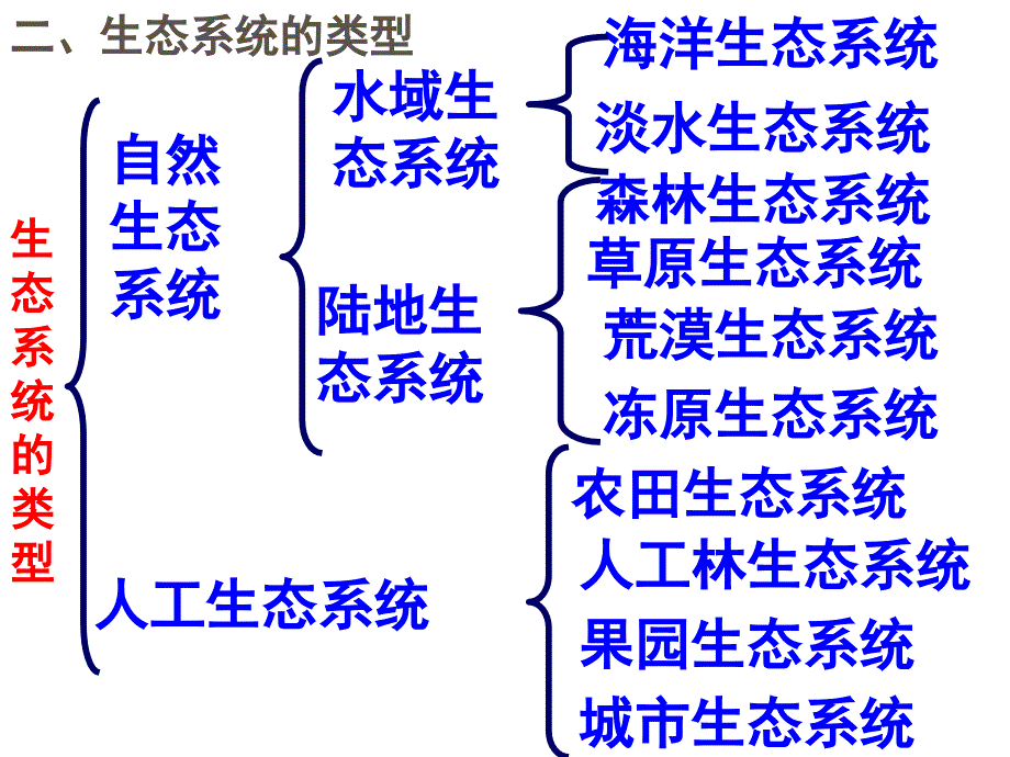 生态系统的结构汇报课_第4页