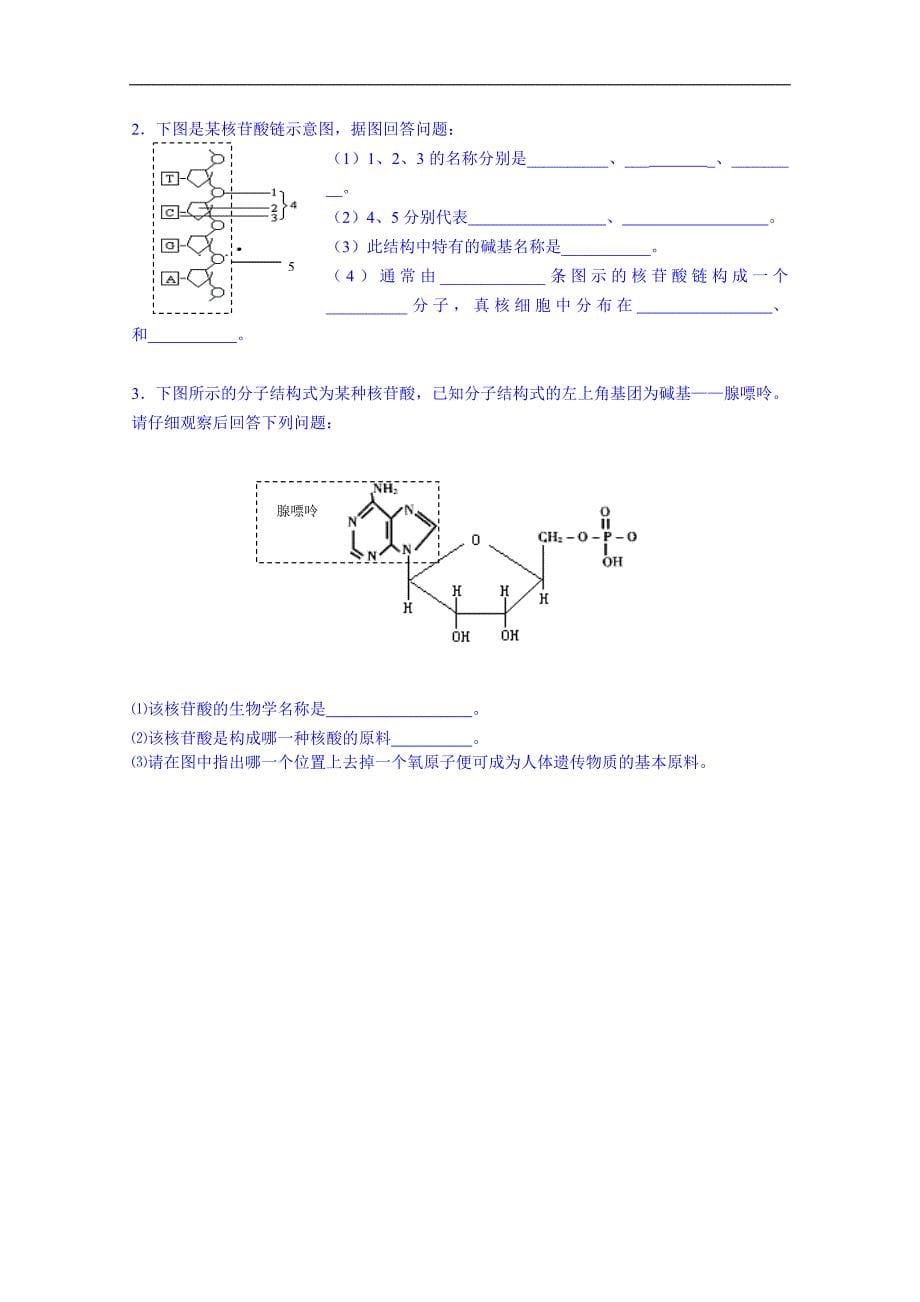 海南省海口市第十四中学高一生物（苏教版）上册导学案：第二章第3节 遗传信息的携带者——核酸_第5页