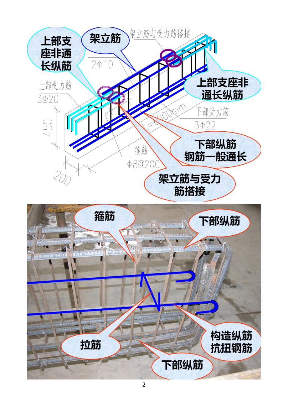 钢筋结构识图之钢筋三维立体识图(梁、柱)_第2页