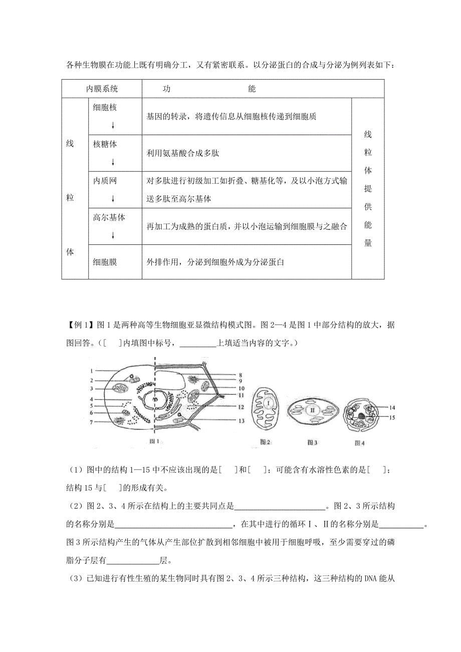 生物一轮精品复习学案：3.2 细胞器——系统内的分工合作（必修1）_第5页