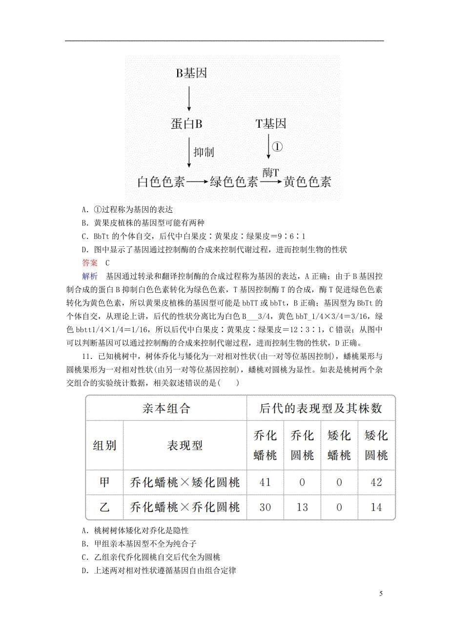 （全国版）2019版高考生物一轮复习 第16讲 基因的自由组合定律限时规范特训_第5页