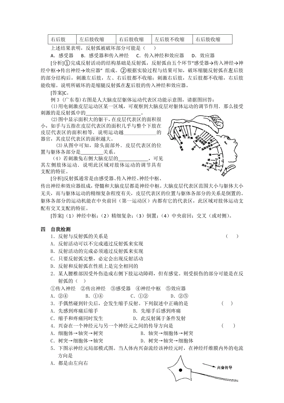 高考一轮复习讲练析精品学案11 通过神经系统的调节_第4页