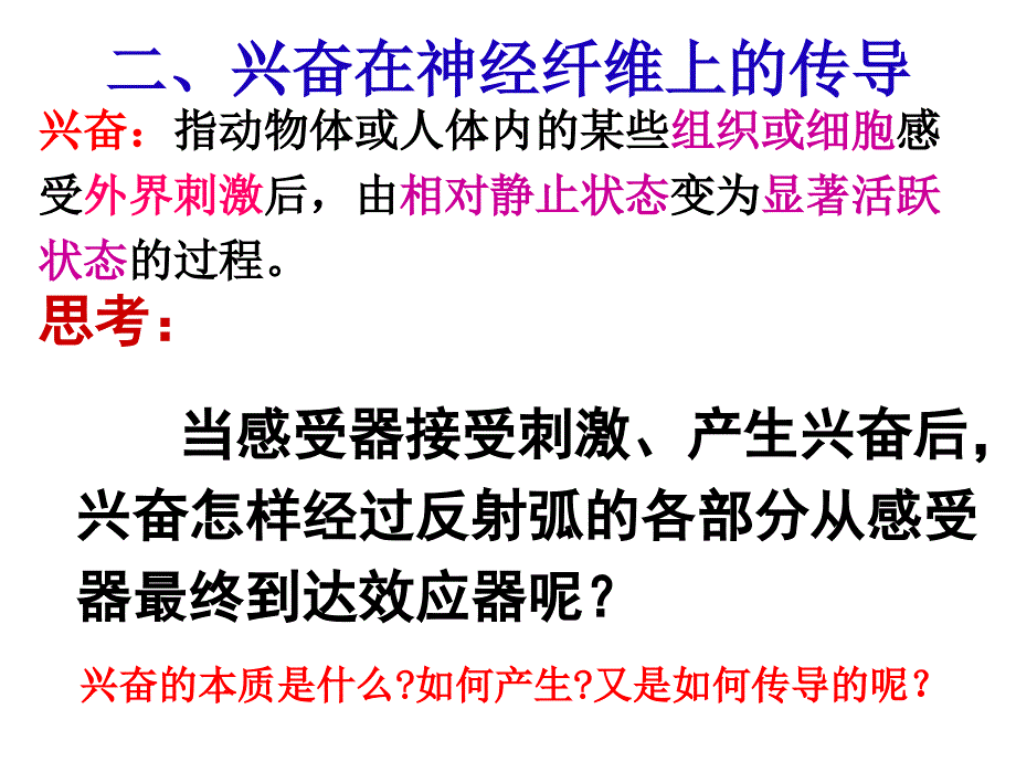 兴奋在神经纤维的传导过程_第1页