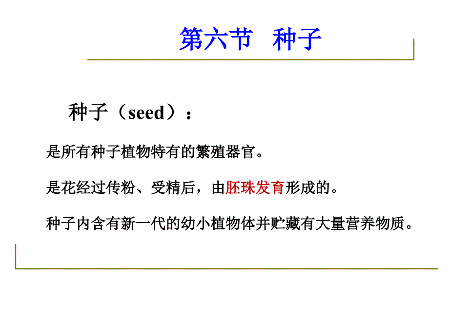 药用植物学与生药学_09种子_第3页