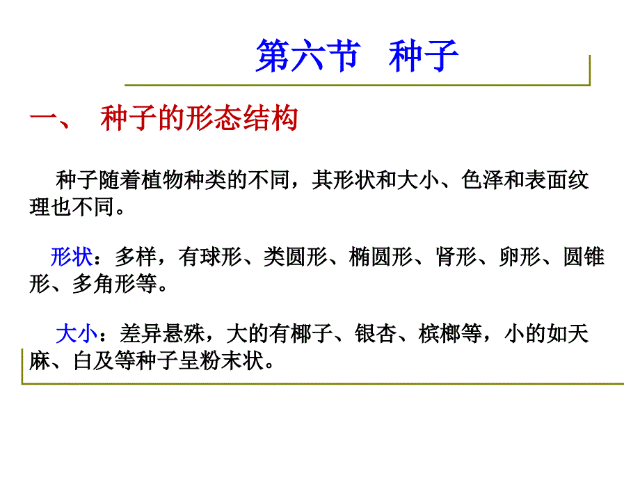 药用植物学与生药学_09种子_第4页