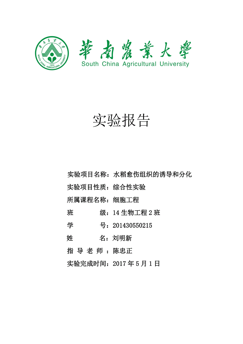 生物工程细胞工程实验报告_第1页