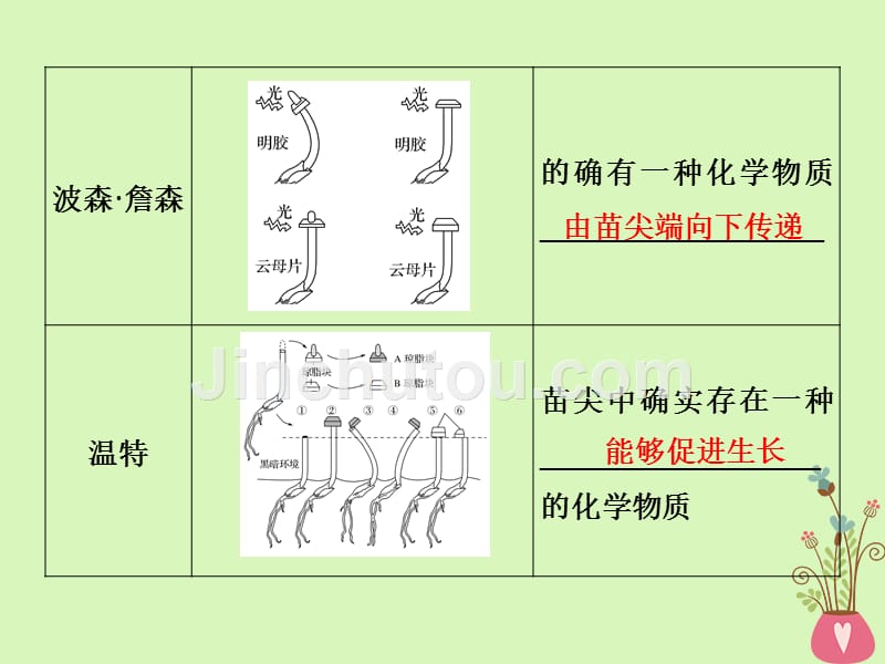 （浙江专版）2019版高考生物一轮复习 第20讲 植物生命活动的调节课件_第4页