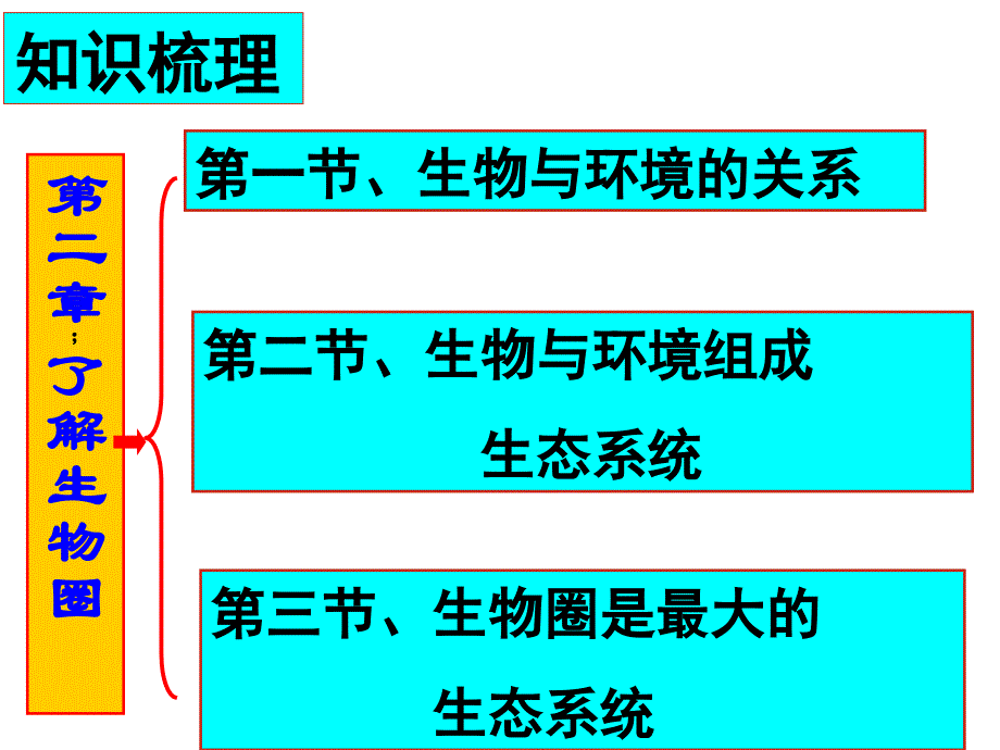 人教版七年级生物上册：第一单元复习_第4页