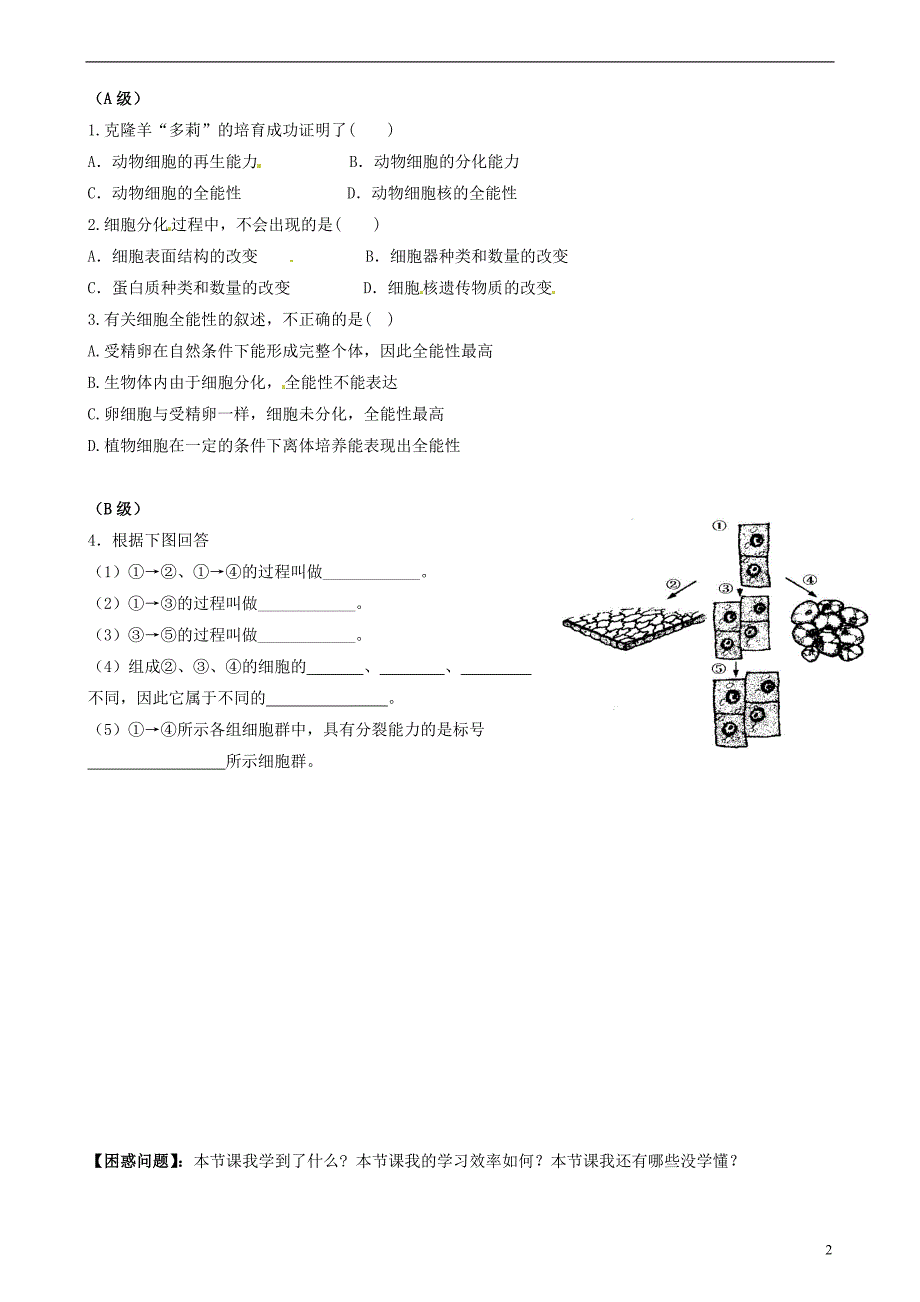 隆回县第二中学高中生物 第6章 第2节 细胞的分化教案 新人教版必修1_第2页