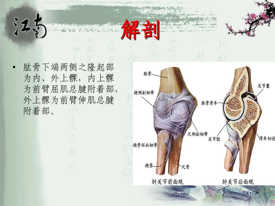 肱骨外上髁炎90357_第4页