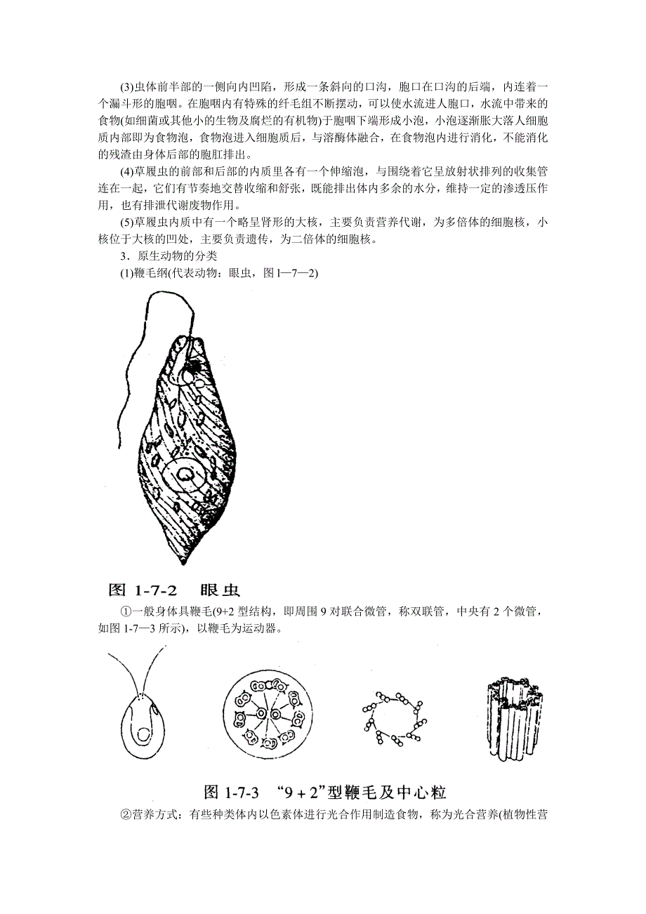 高中生物竞赛辅导：第七章  生物系统学_第4页