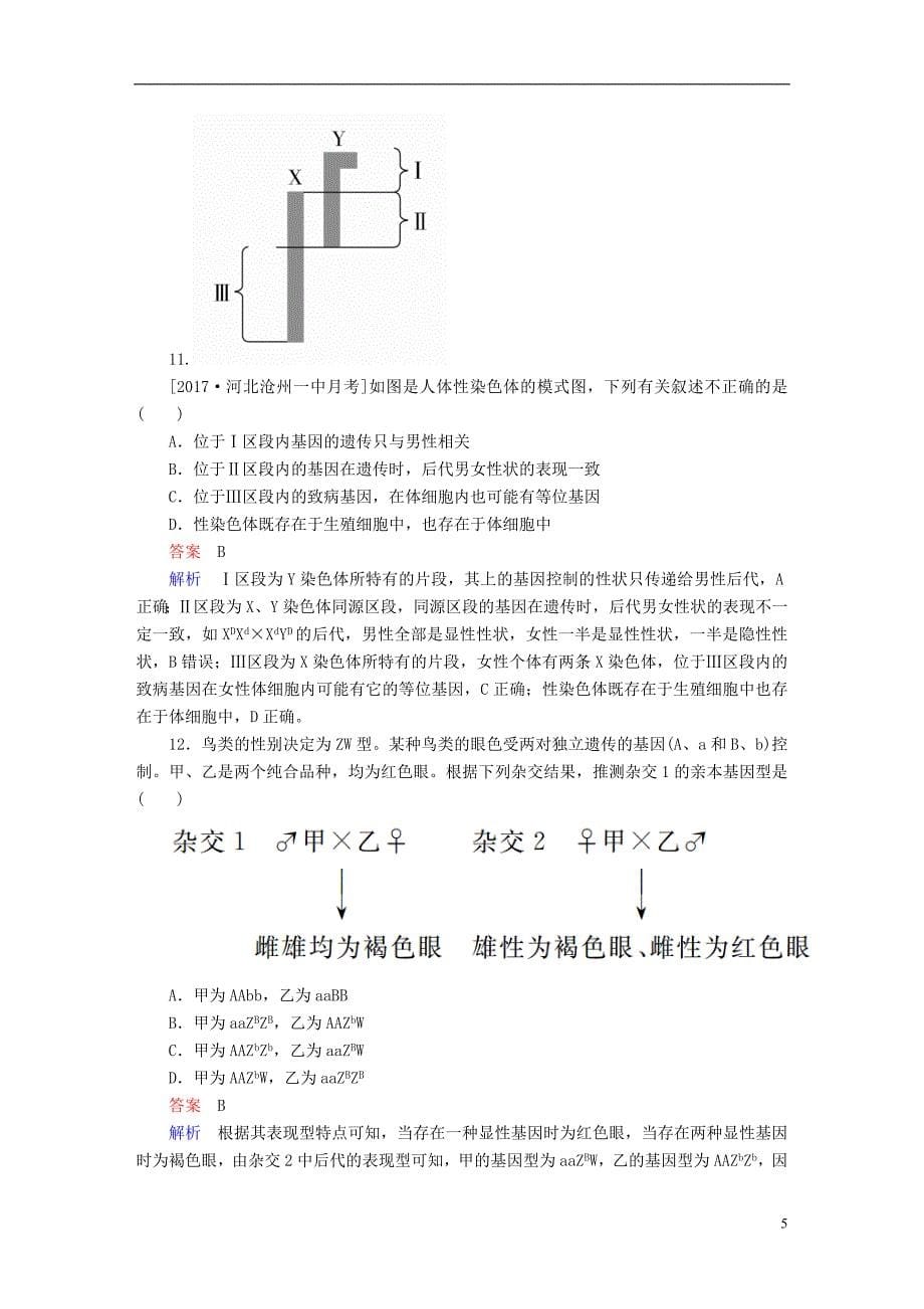 （全国版）2019版高考生物一轮复习 第17讲 基因在染色体上和伴性遗传限时规范特训_第5页