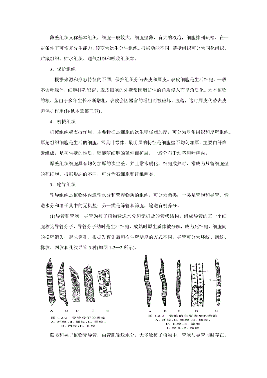 高中生物竞赛辅导：第二章  植物解剖和生理_第4页