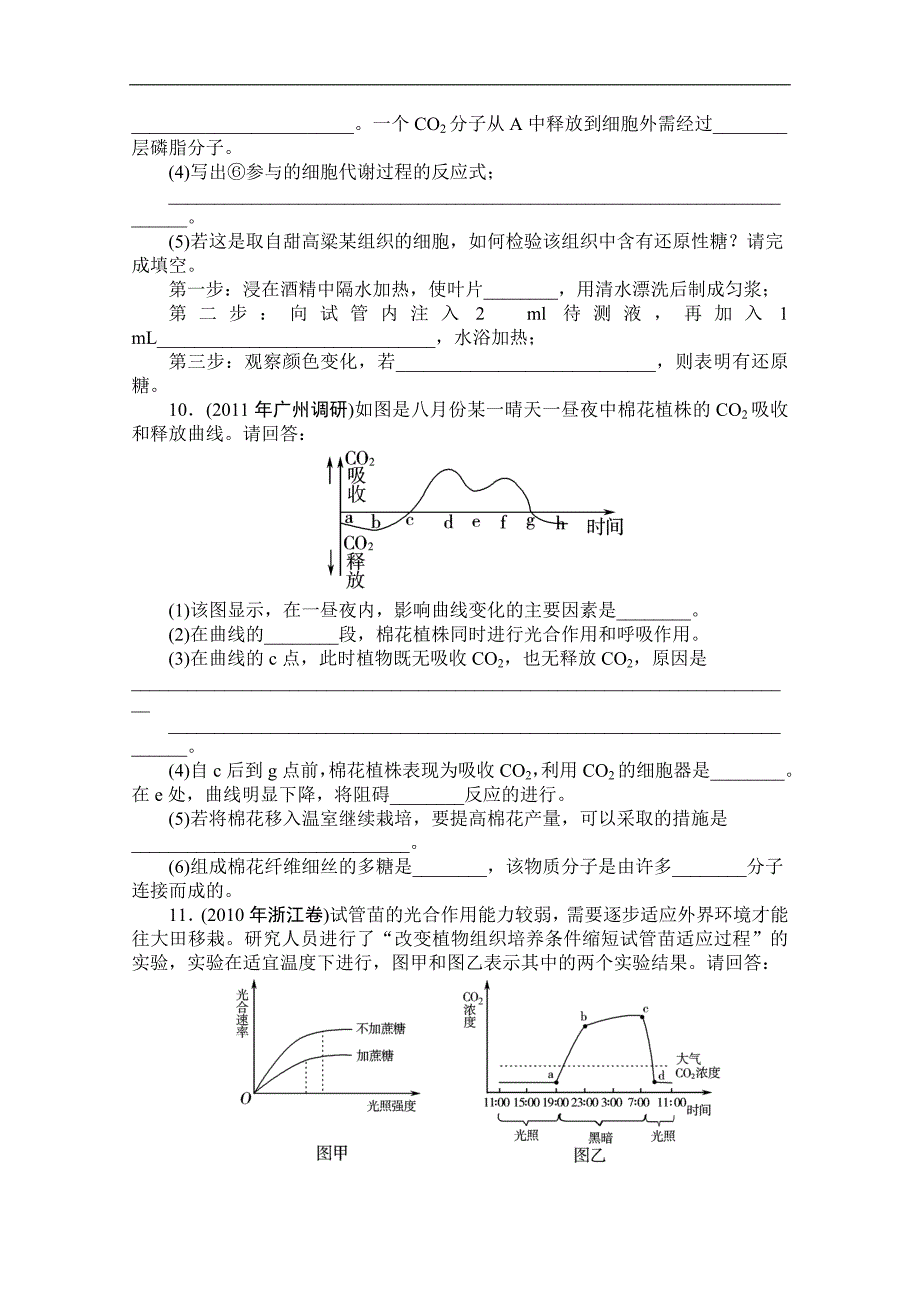 高中生物复习学案：光合作用_第3页