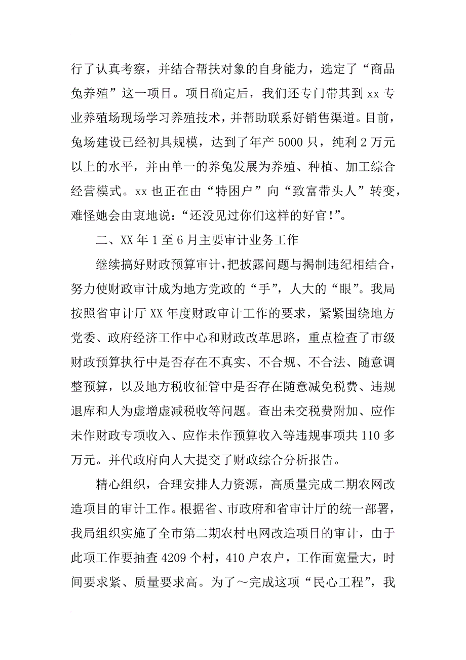 市审计局xx年上半年工作总结_1_第3页