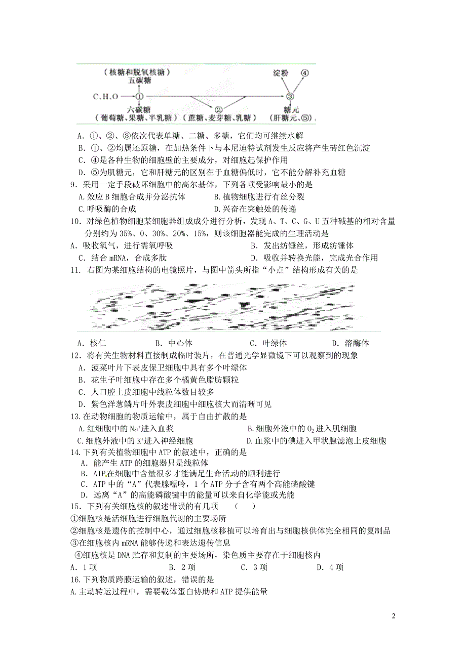 瑞昌二中2015届高三生物小题专练8_第2页