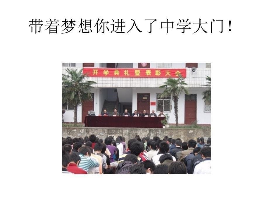 我的大学我做主ppt_第5页