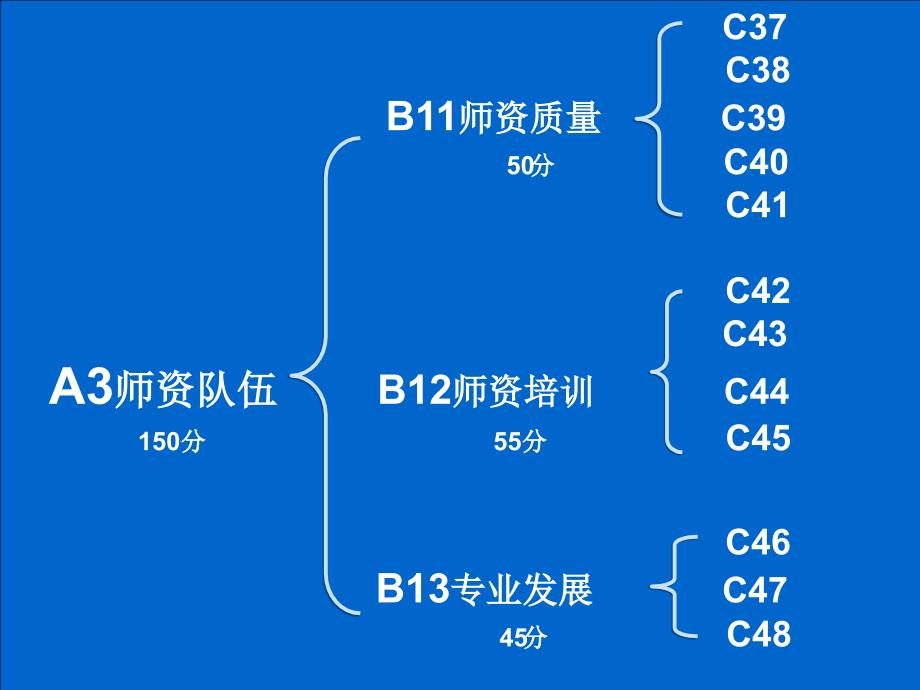 师资队伍督导评估培训稿ppt_第2页