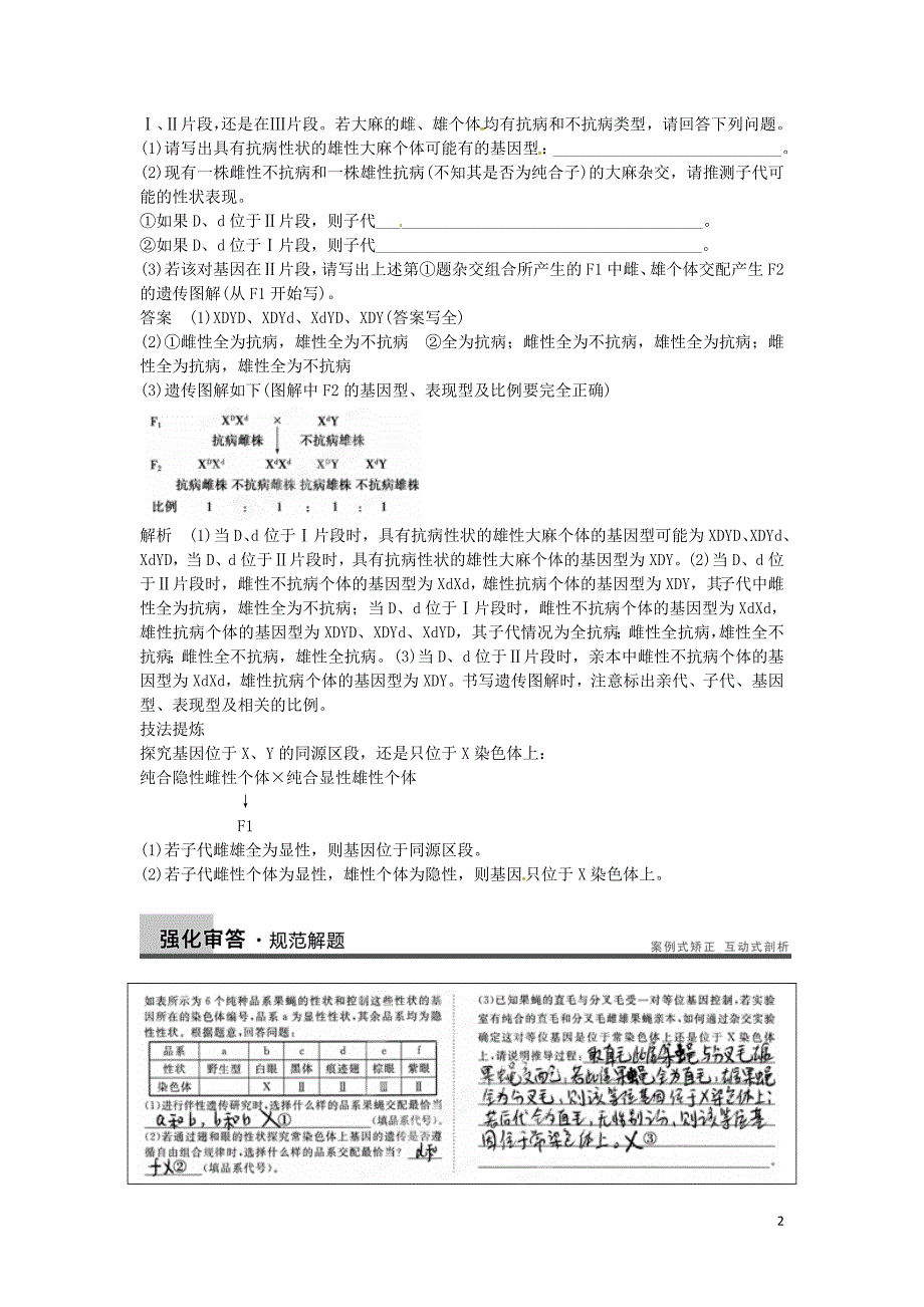 重庆市万州分水中学高考生物 第2章《基因和染色体的关系》考点复习五 聚焦性染色体的同源区段和非同源区段 _第2页