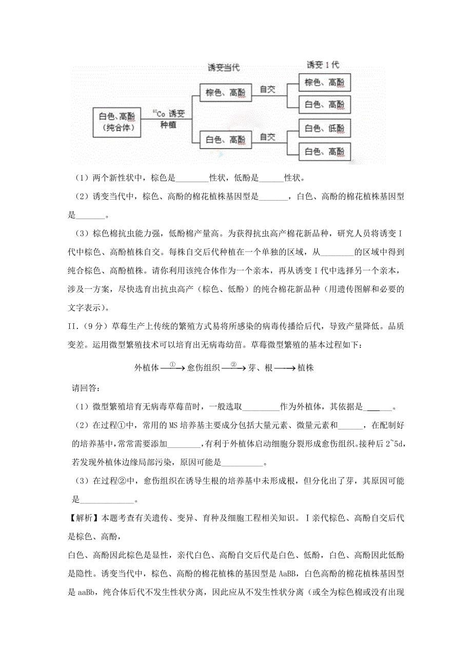 生物一轮精品复习学案：第6章 从杂交育种到基因工程（必修2）_第5页