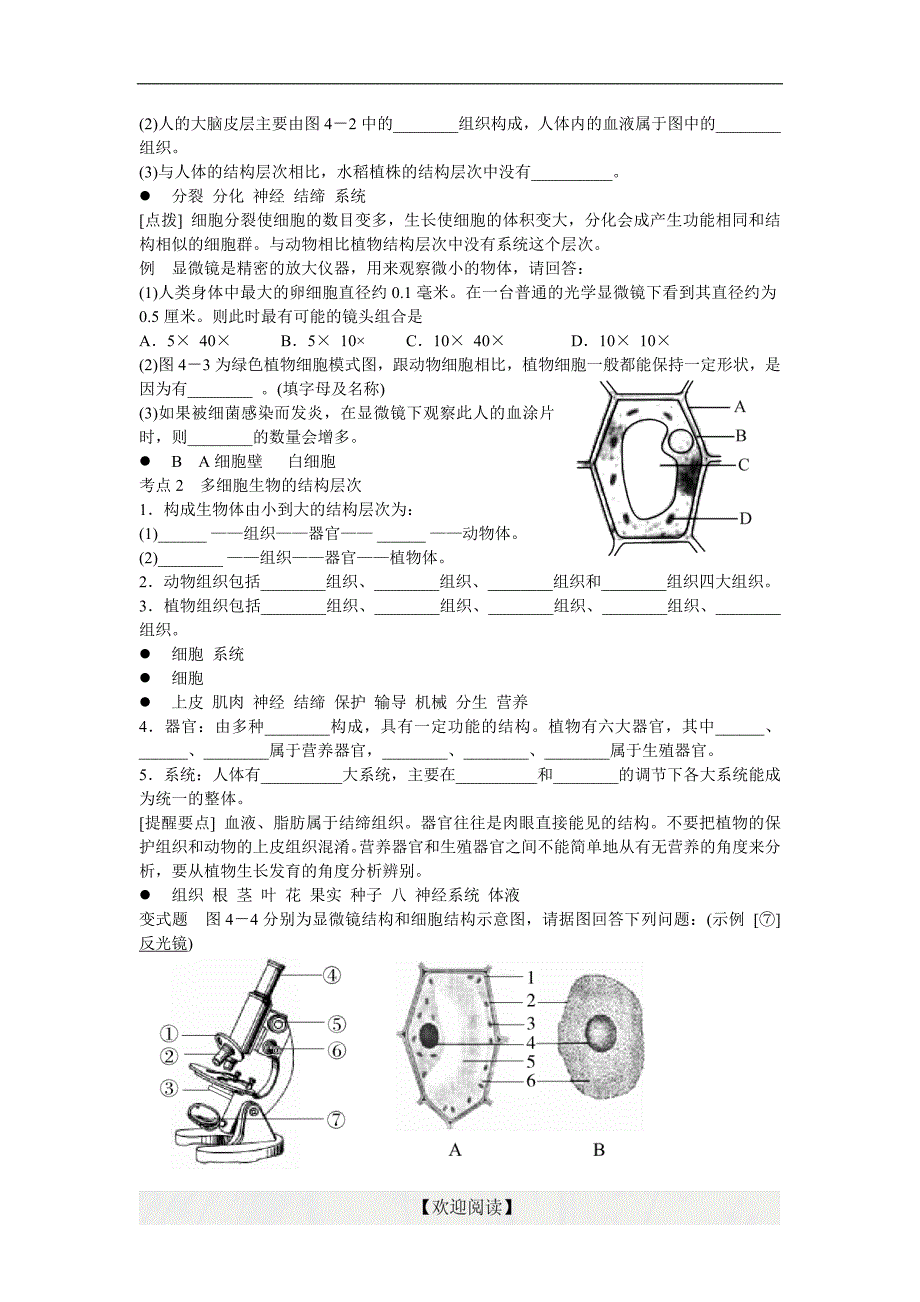 浙江省绍兴市2016中考科学一轮复习-第2课时《细胞》学案_第2页