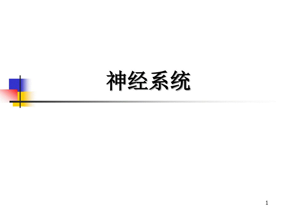 人体解剖学-周围神经系统_第1页