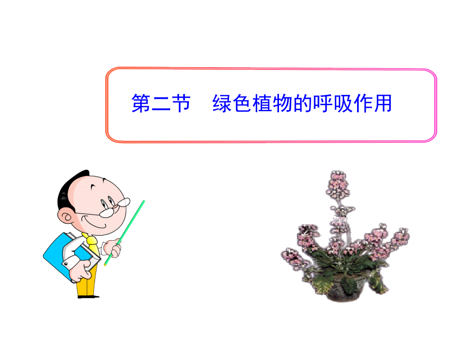 第二节-绿色植物的呼吸作用(共41张ppt)_第3页