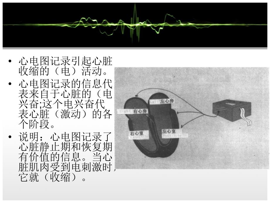 心电图基础(修改后)_第3页