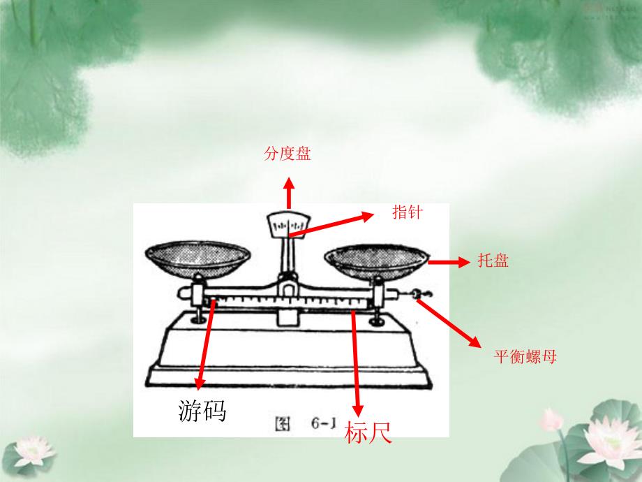 物质的称量_第4页