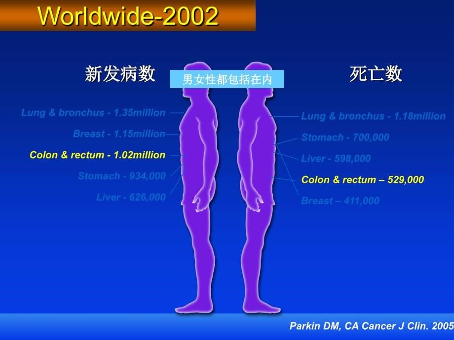 大肠癌内科治疗_第5页