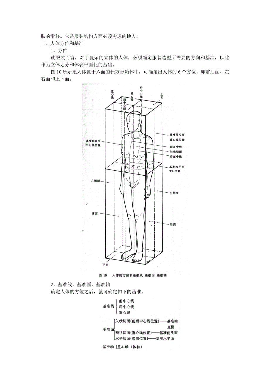 服装设计中的人体结构特征_第4页