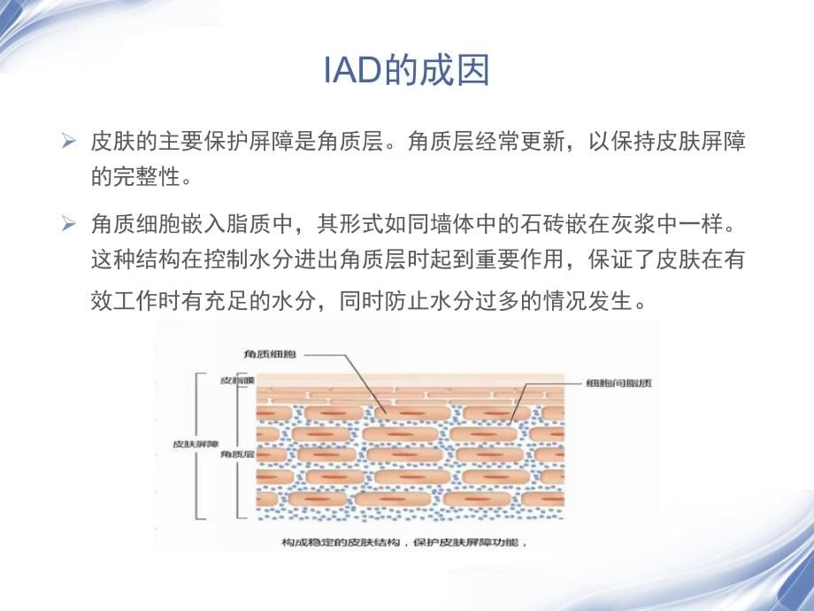 失禁性皮炎_培训_第5页