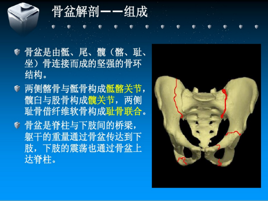 骨盆骨折分型、治疗及康复_第4页